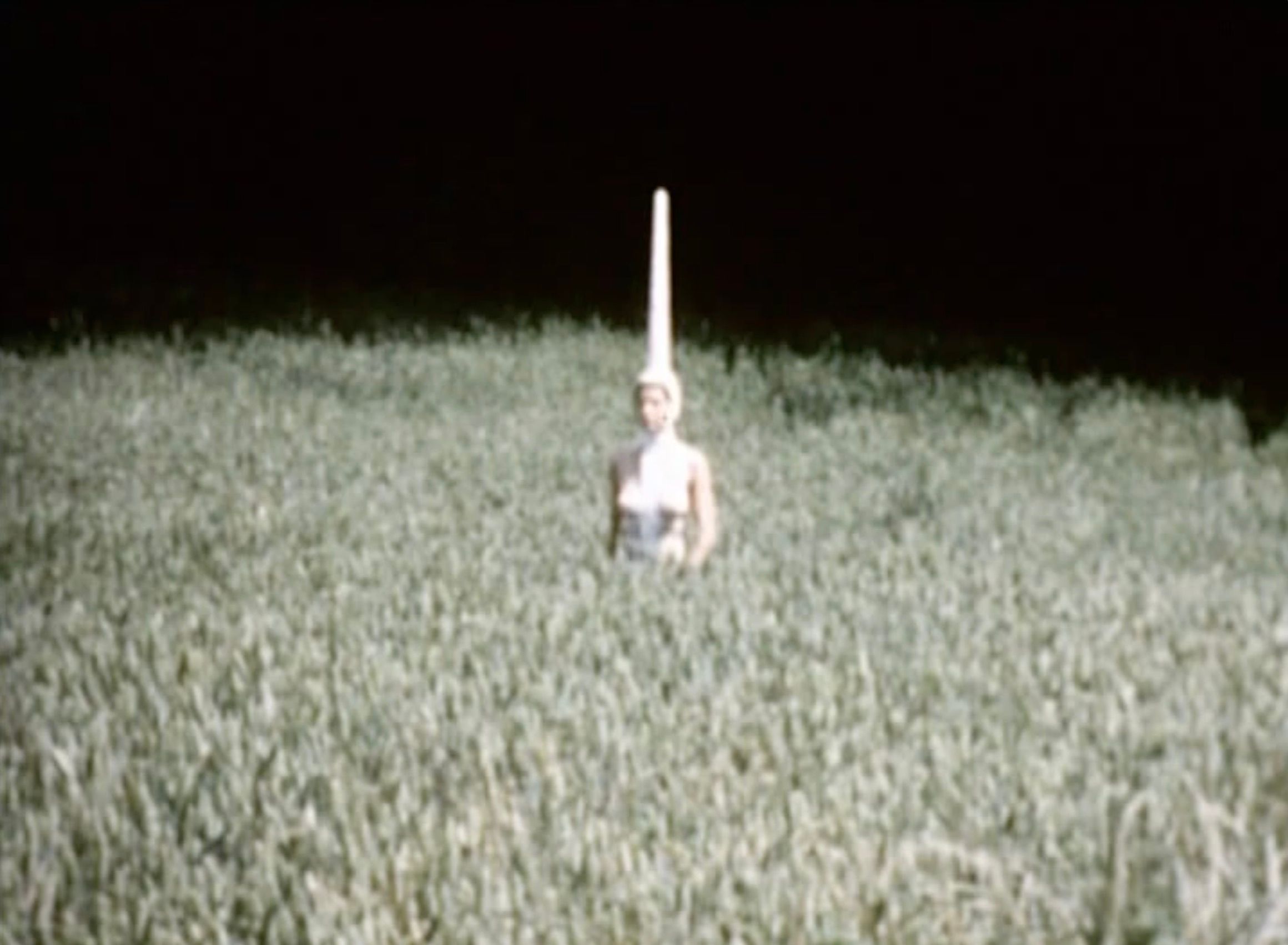 Einhorn (aus dem Film "Performances II")