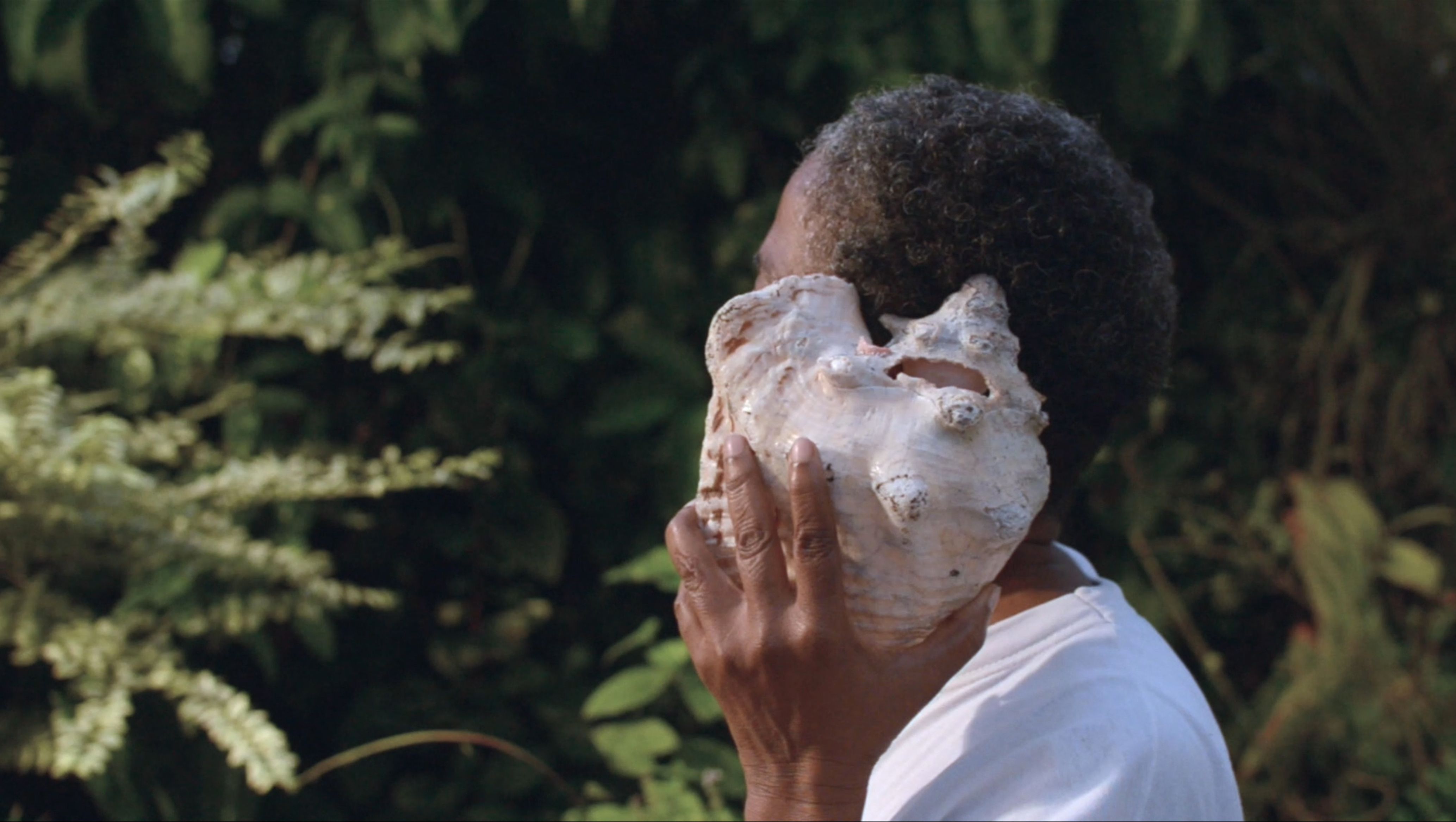 Pawòl sé van [words are wind]